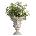 Classic Ornamental Planter with Roses Vol 335