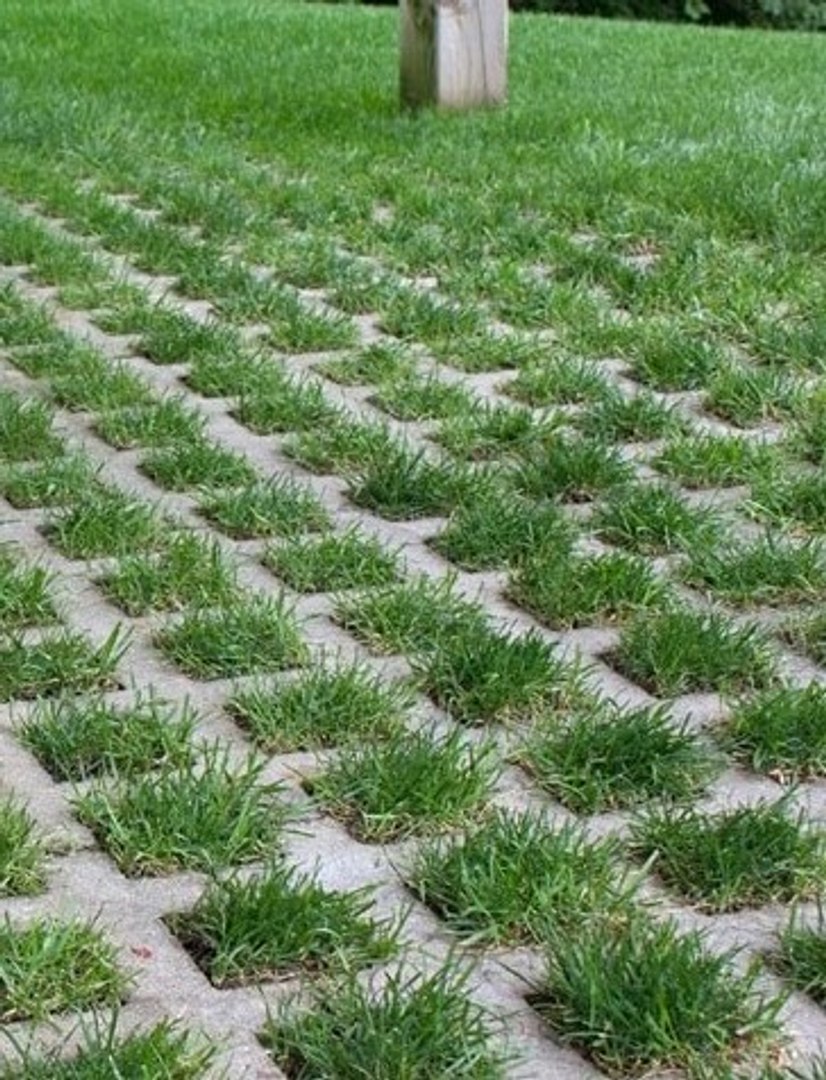 3D model grass stone https://p.turbosquid.com/ts-thumb/yT/IBpvND/E3/cimtasi/jpg/1608308347/1920x1080/fit_q87/74168159dc92f45ed2147958d00b78e3c442db10/cimtasi.jpg
