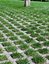Grass stone