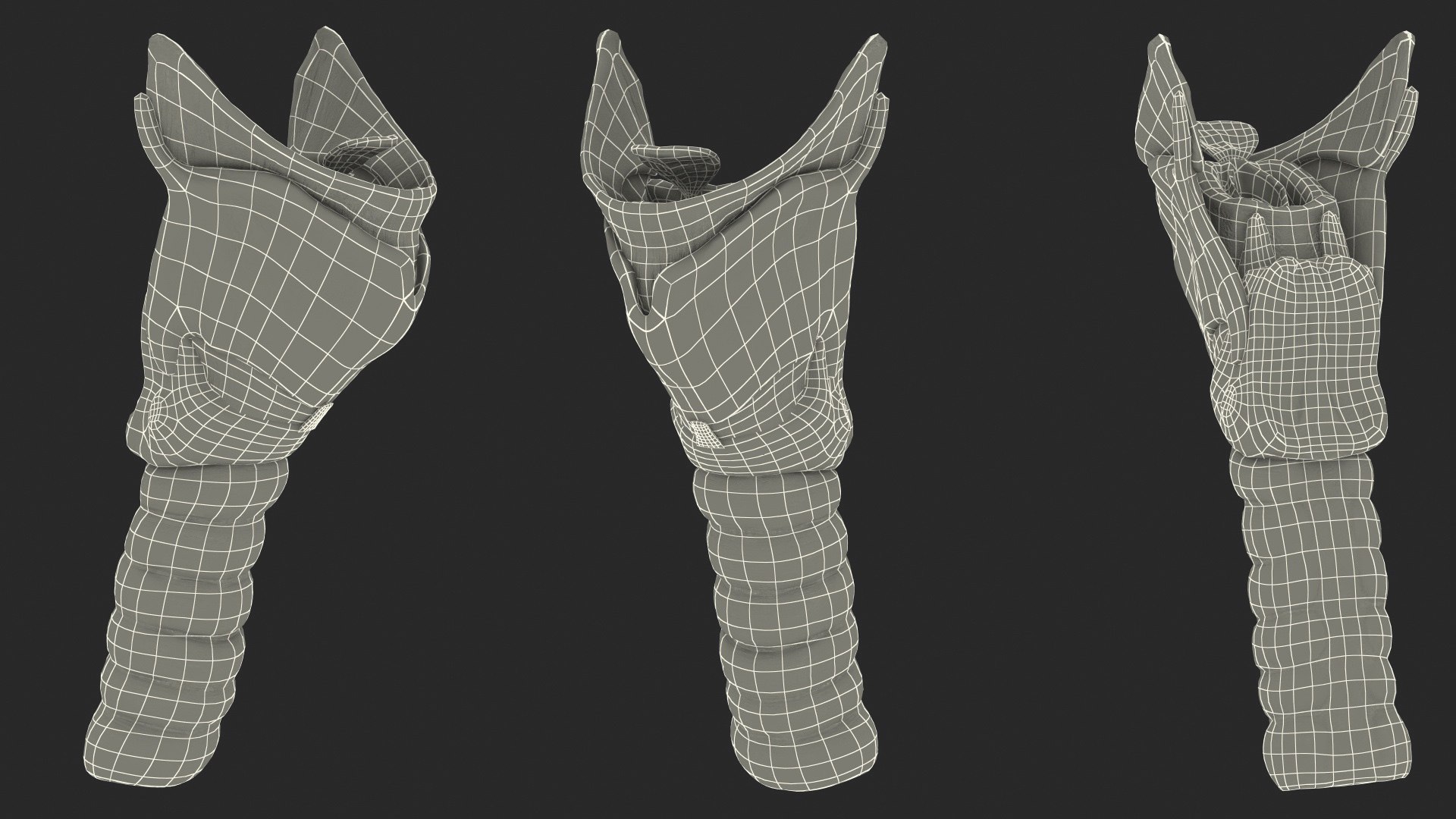 Human Head Respiratory 3D Model - TurboSquid 1469283