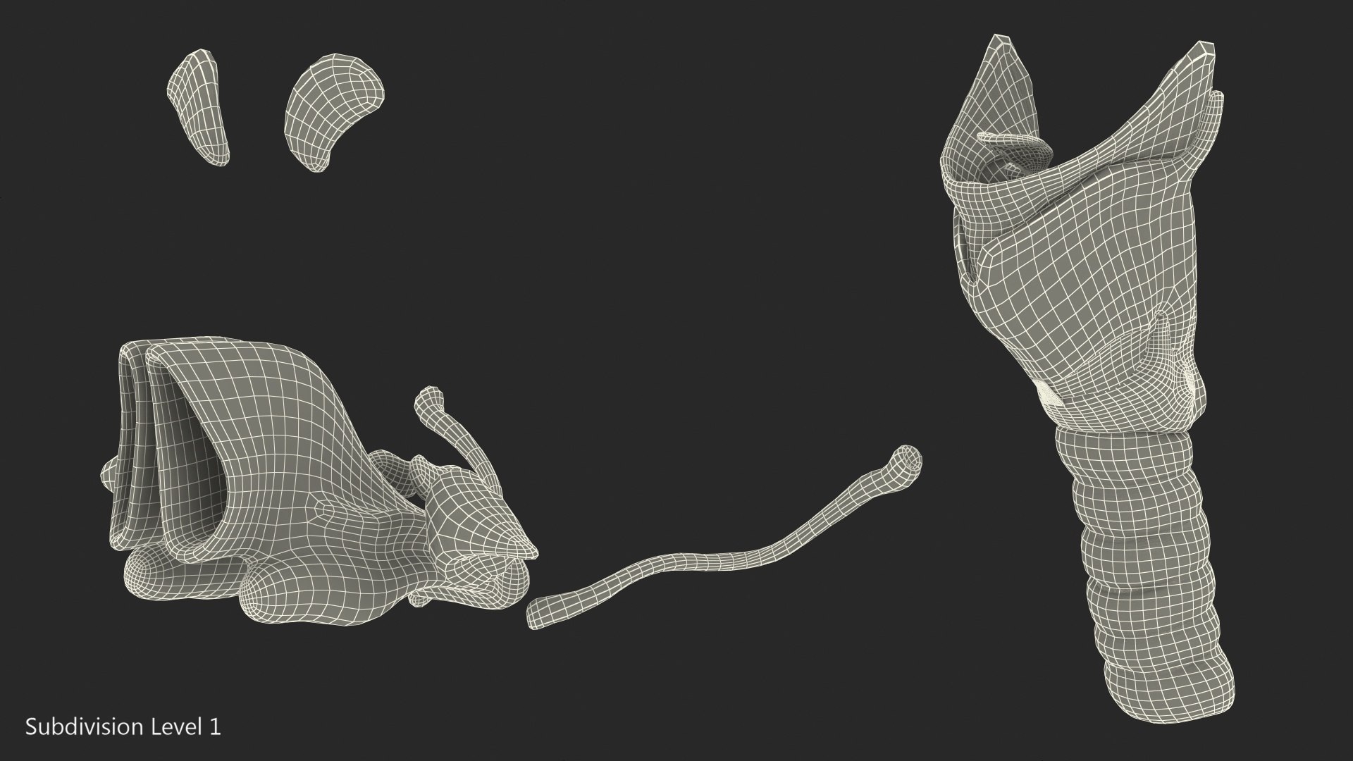 Human Head Respiratory 3D Model - TurboSquid 1469283