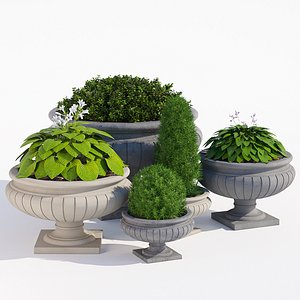 3D ashford qcp model