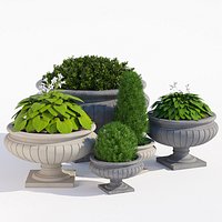 Ashford round