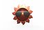 Sol fresco