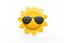 Sol fresco