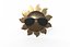 Sol fresco