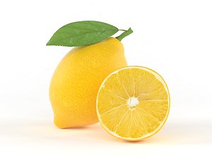 realistic lemon fruit 3D model