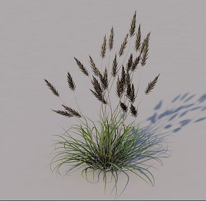 3D model grass