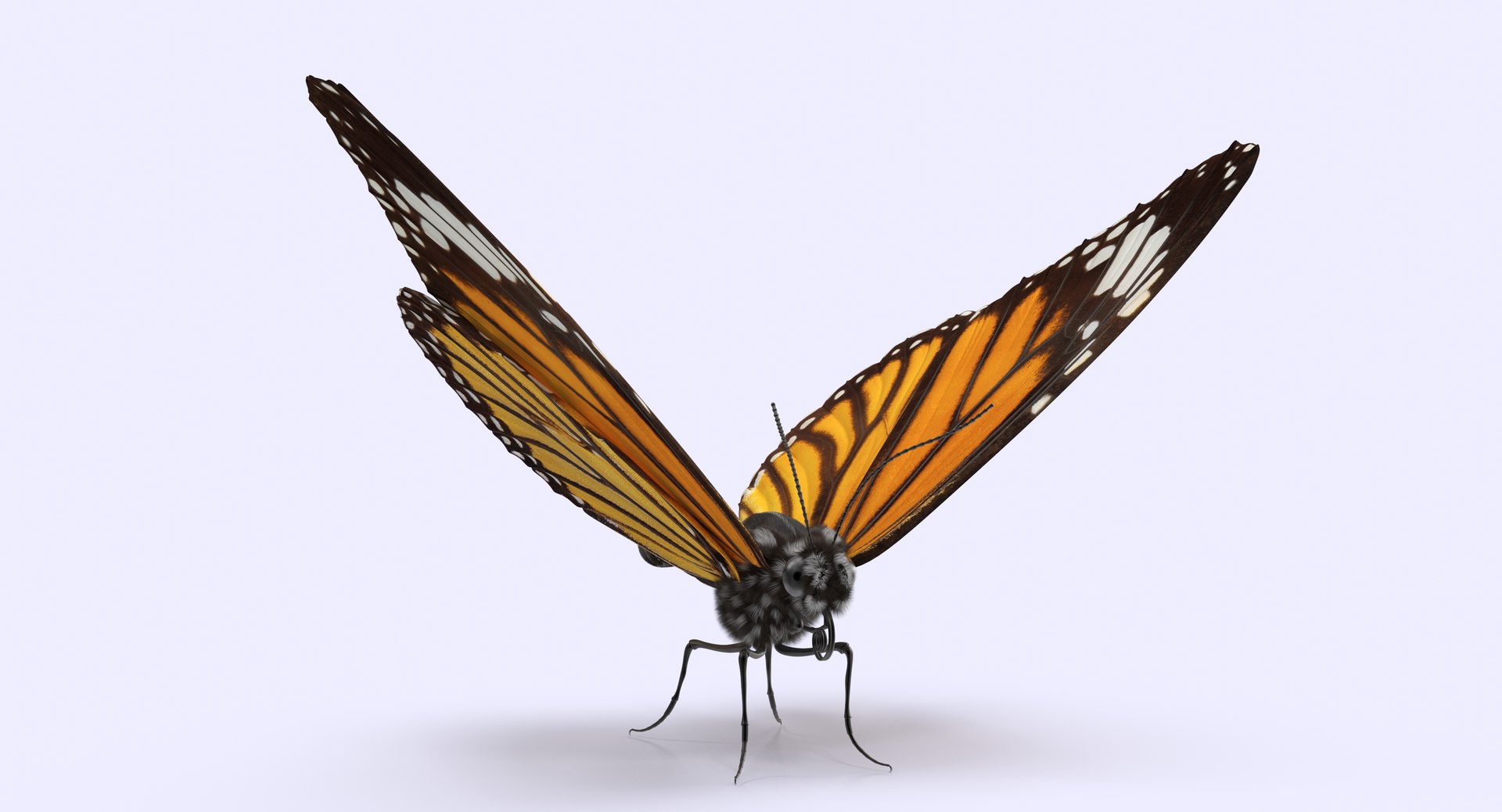 Pole Monarch Butterfly 3d Stereo Simulation Pole Butterfly - Temu