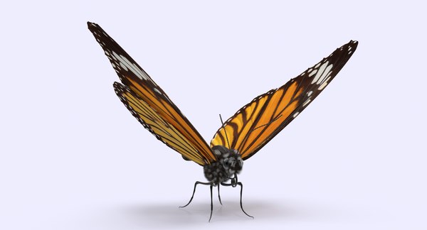 Monarch butterfly 3D model | 1142930 | TurboSquid