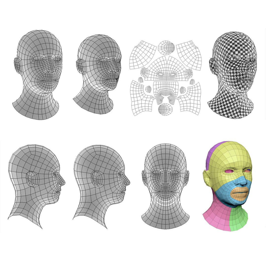 Head Base Model - TurboSquid 1392491