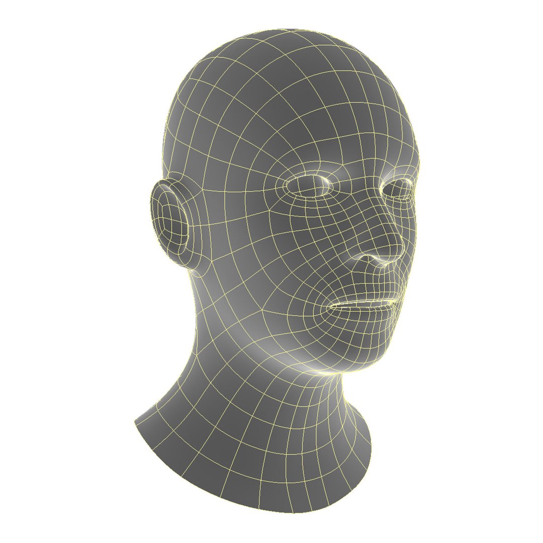 Head Base Model - TurboSquid 1392491
