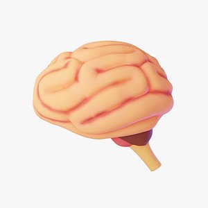 Cartoon Brain 3D Model