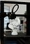 Busto de elefante: modelo de impresión 3D