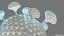 3D model coronaviruses coronaviridae isolated