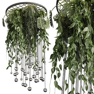 plant vol 1000 - Hanging - Pothos - Fern 3D model