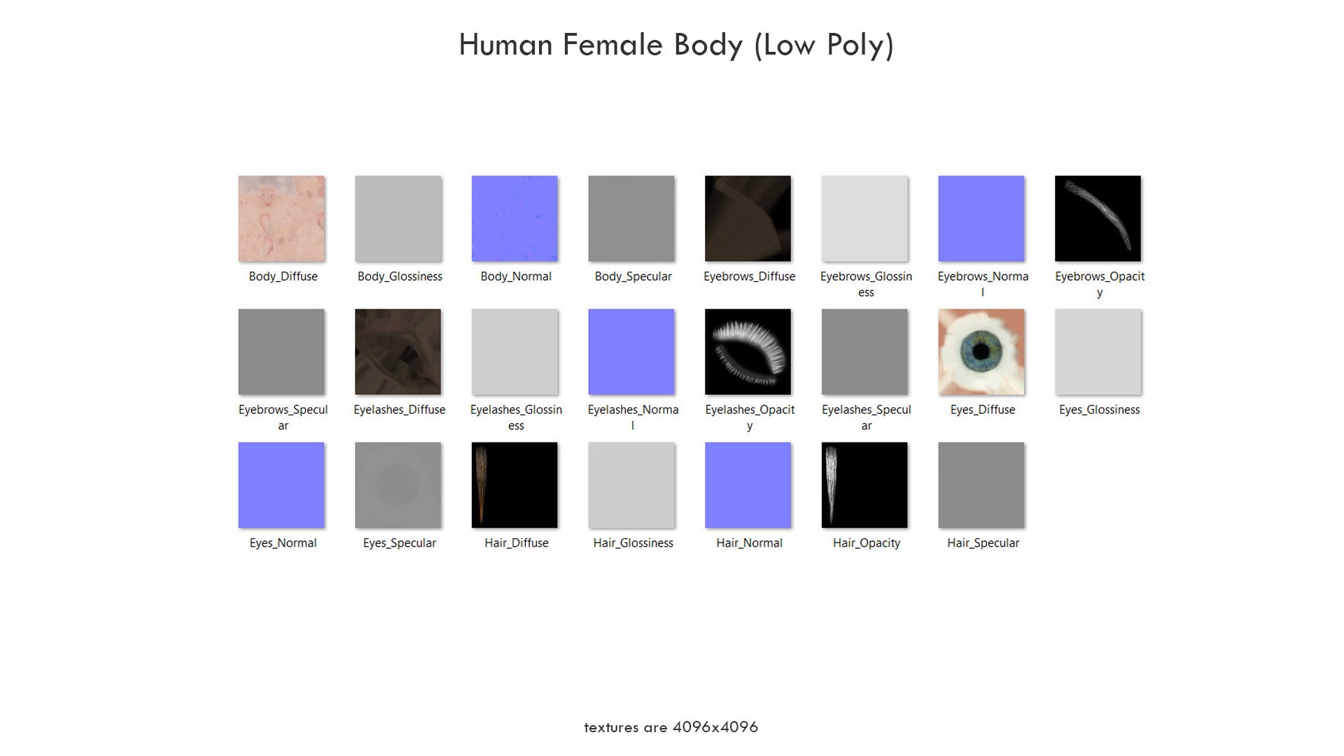 3D Human Female Body Polys Model - TurboSquid 1523958