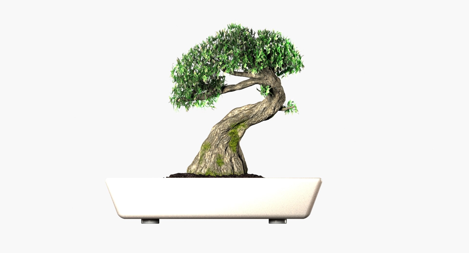 3D bonsai tree model https://p.turbosquid.com/ts-thumb/yU/hPx3pJ/3wFtKBon/5/jpg/1520105594/1920x1080/fit_q87/9407e2fbc0859de4d0953fa91b22c91cada8a42c/5.jpg