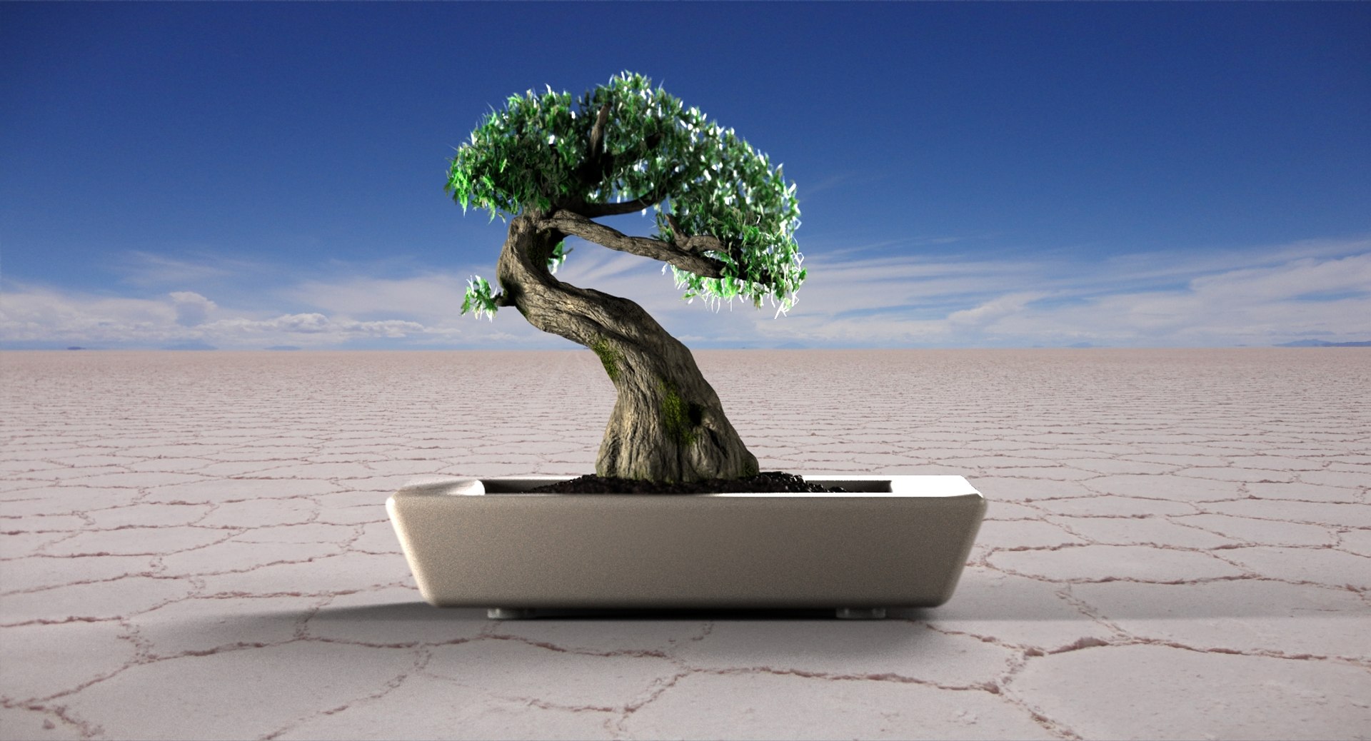 3D bonsai tree model https://p.turbosquid.com/ts-thumb/yU/hPx3pJ/aZHD3kuN/cine/jpg/1520172451/1920x1080/fit_q87/d00a76029a65a5cb8560a6aa7e847ddc62640d06/cine.jpg