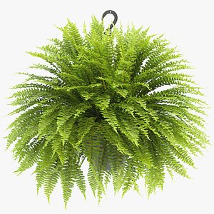 backgrounds 3D model