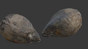 Irregularly Shaped Organic Root Scan
