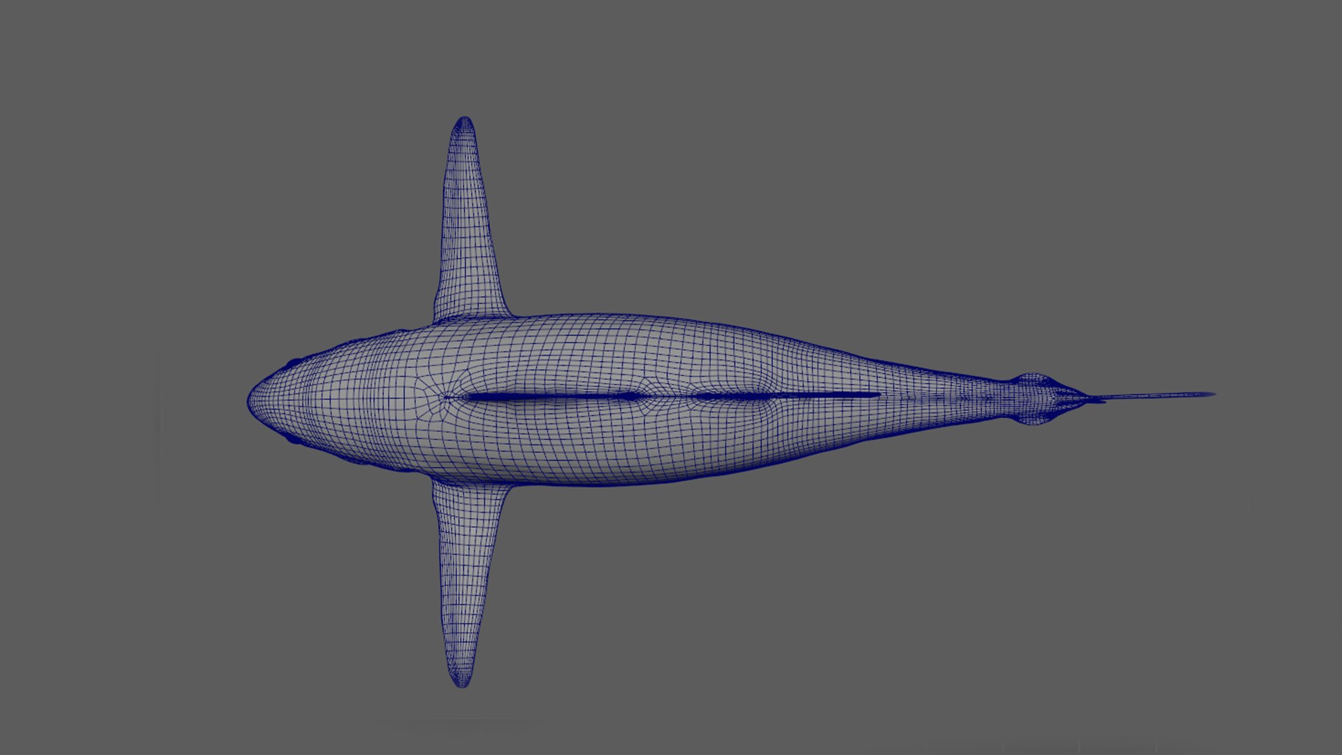 Tuna Rigged 3D - TurboSquid 1642519