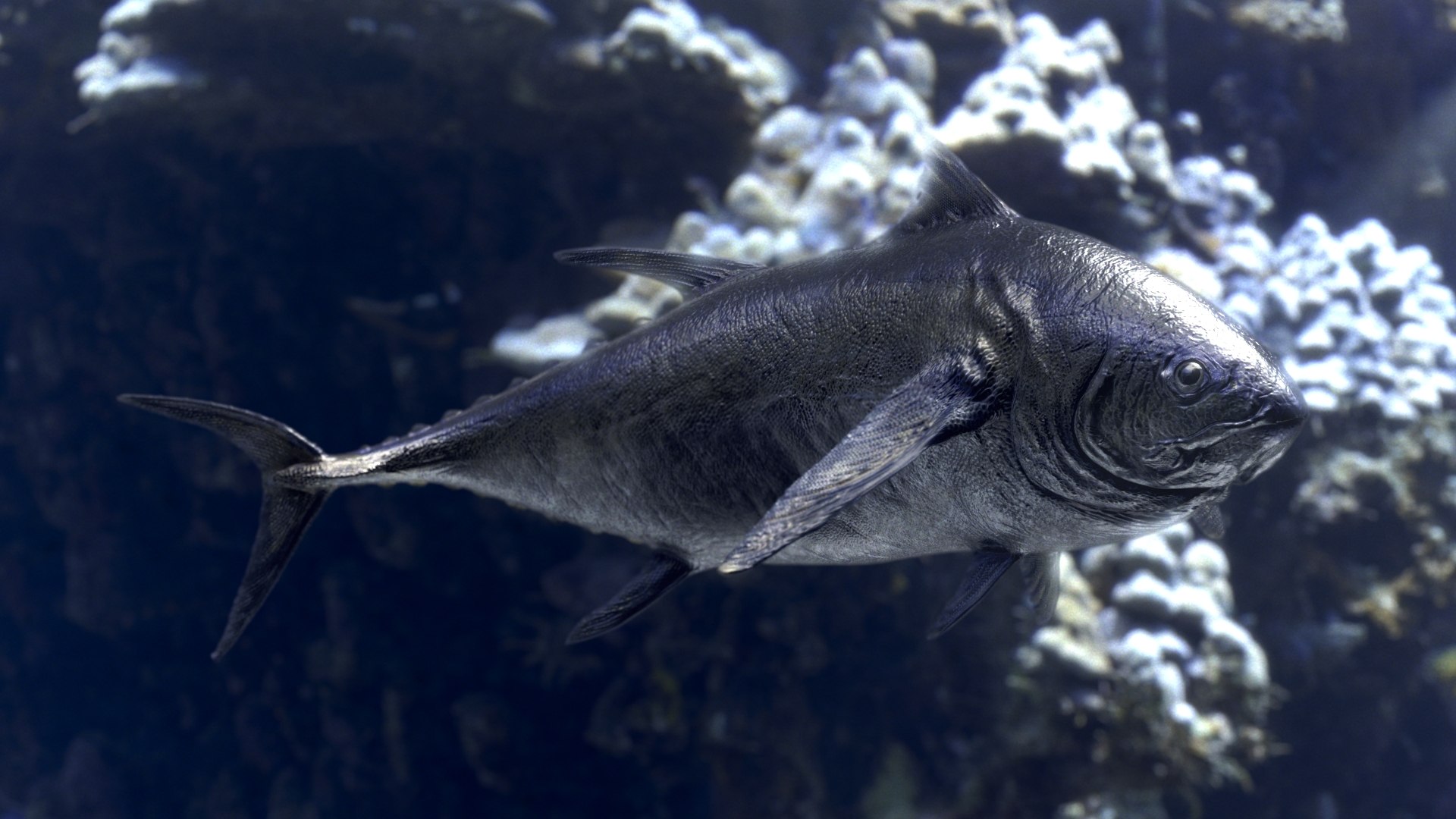 Tuna Rigged 3D - TurboSquid 1642519