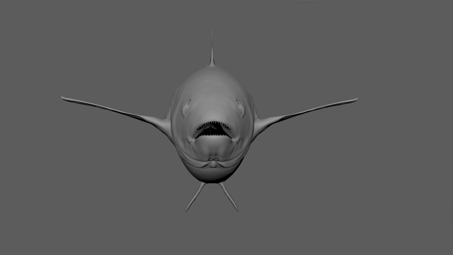 Tuna Rigged 3D - TurboSquid 1642519
