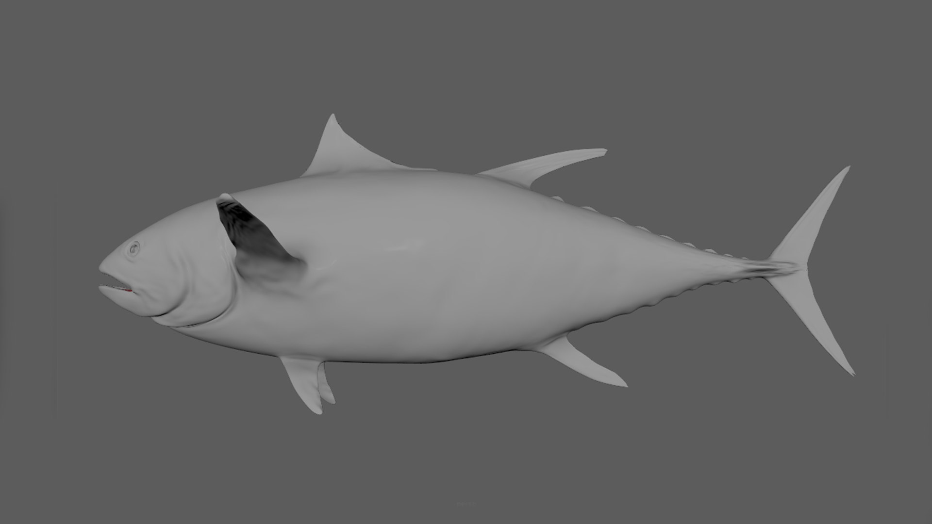 Tuna Rigged 3D - TurboSquid 1642519