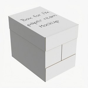 Office paper A4 5 reams box 02