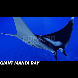3ds manta giant