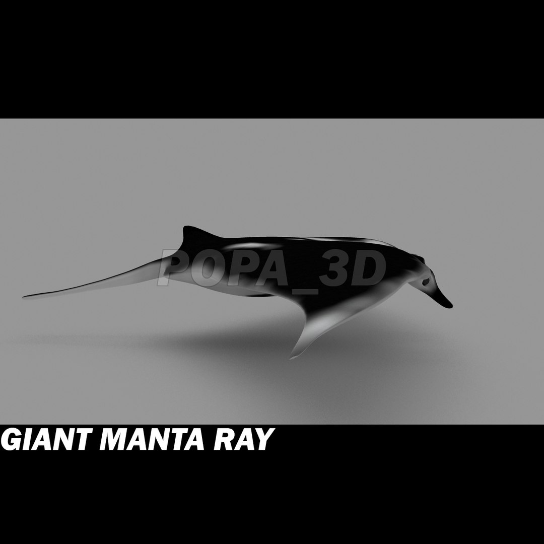 3ds manta giant https://p.turbosquid.com/ts-thumb/yU/vAhOjN/zJxA3Qk8/gmrc/jpg/1301053516/1920x1080/fit_q87/97b83a9ade5bc44cc587aa438520981f24d95f04/gmrc.jpg