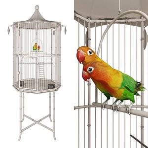 3D cage lovebirds model