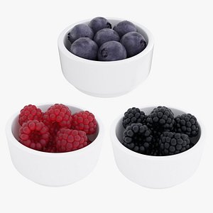 3D Berry bowl collection 3