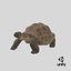 Walk Pose Dirty Giant Tortoise model