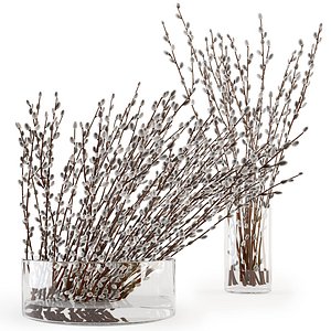 willow branches glass vase 3D model