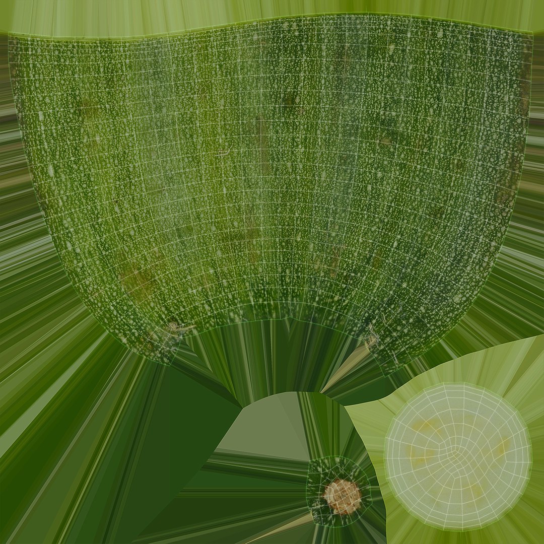 zucchini set 3D https://p.turbosquid.com/ts-thumb/yV/MCvupT/MP/48/jpg/1612951594/1920x1080/fit_q87/01adfd3f0fa24d18a36648e222dae28dfc34c19b/48.jpg