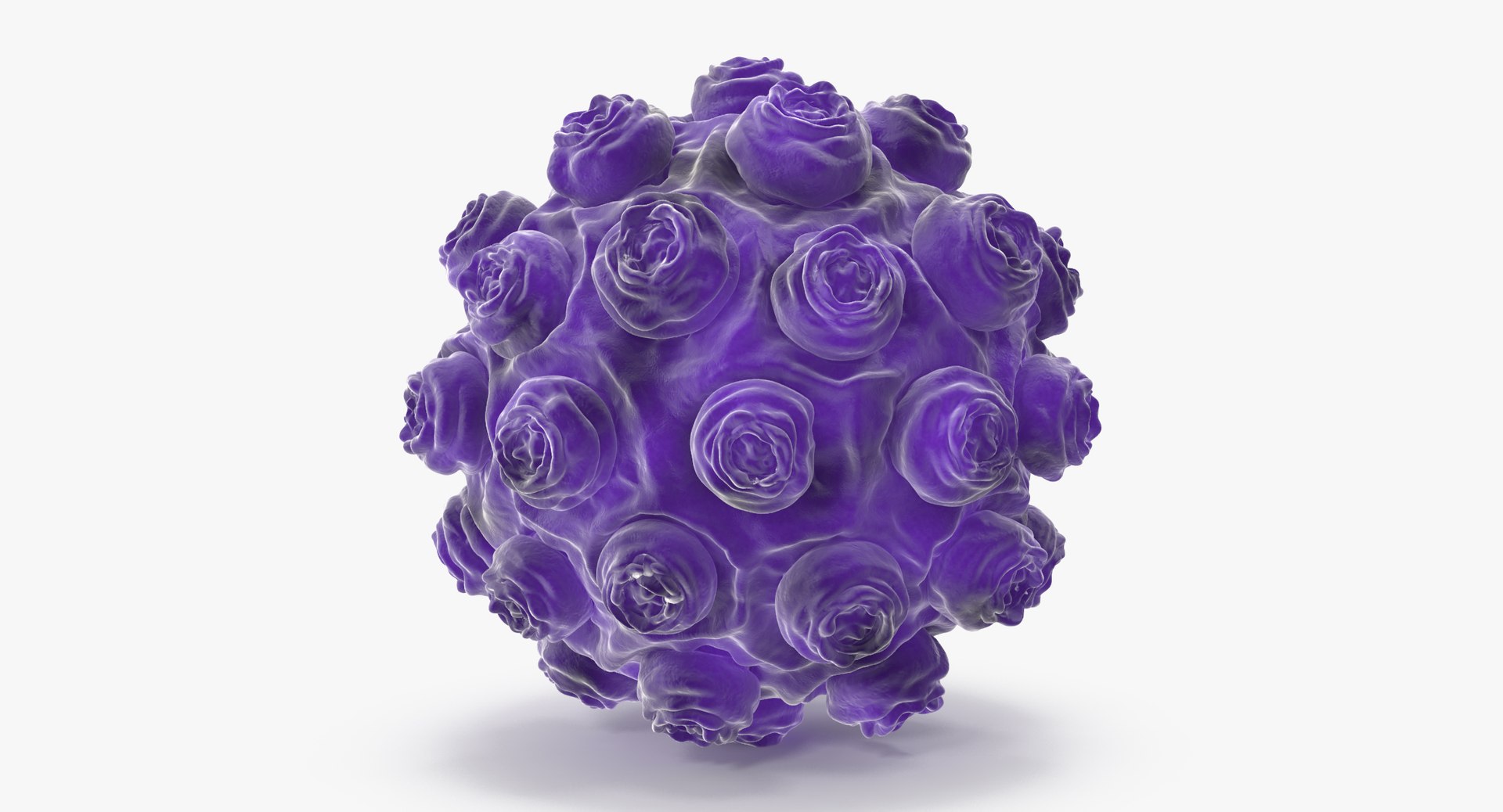 Max Measles