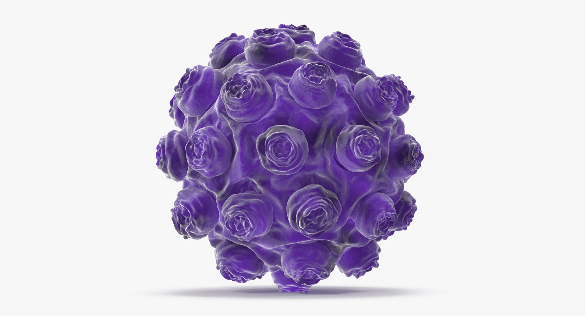 Max Measles