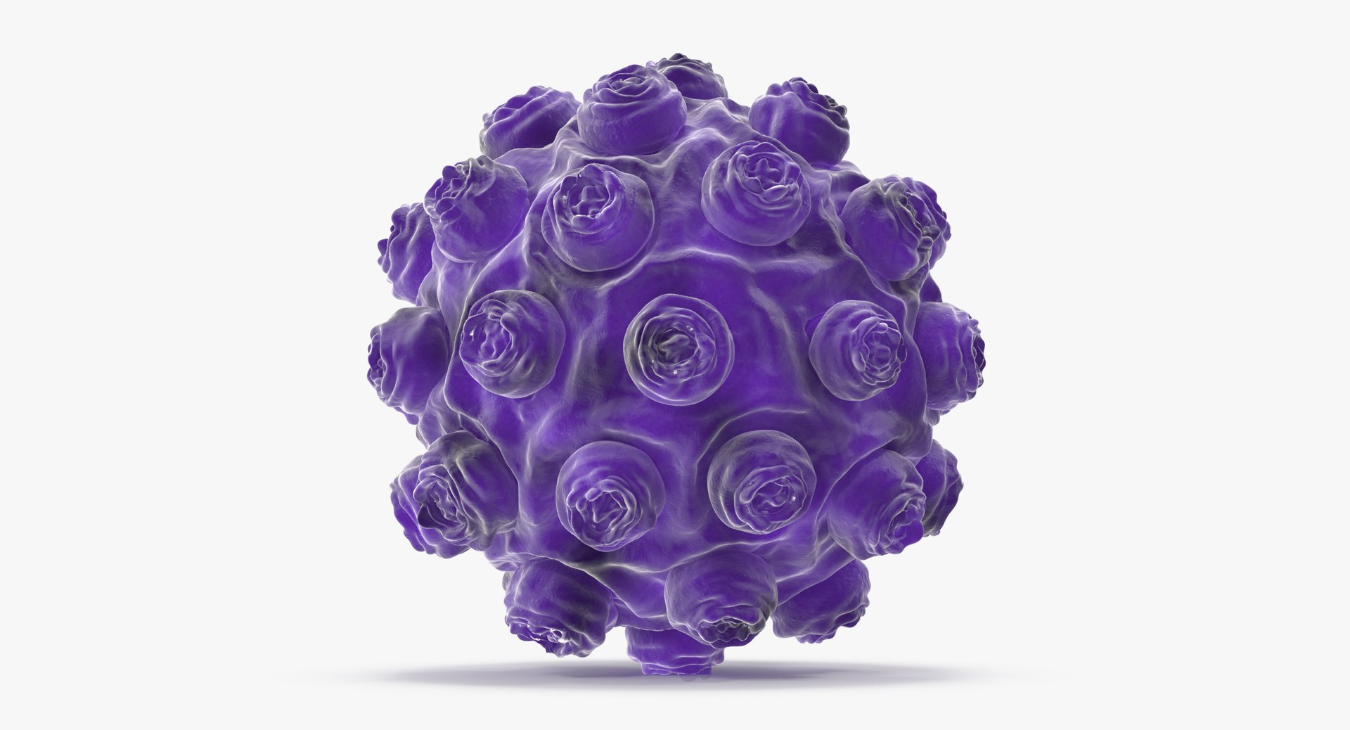 Max Measles
