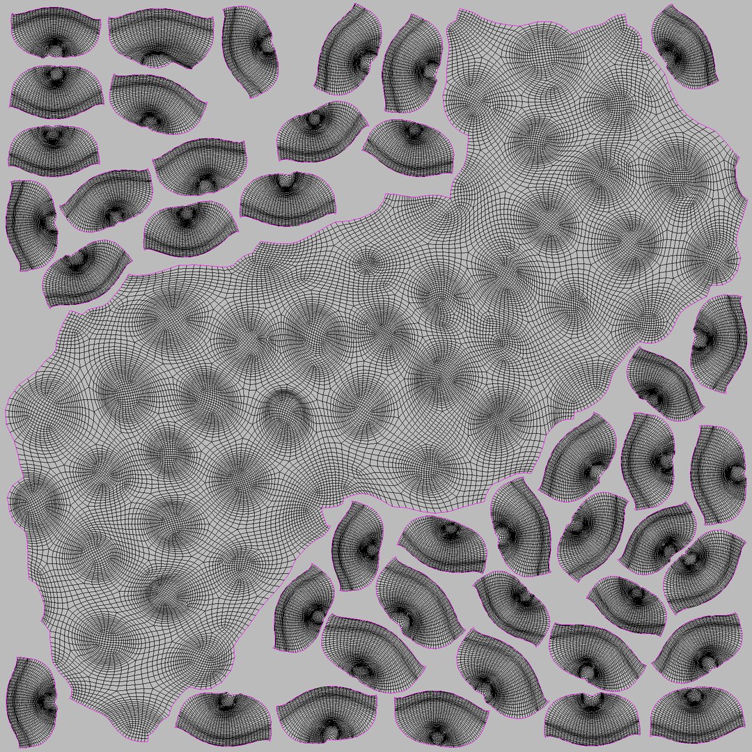 Max Measles