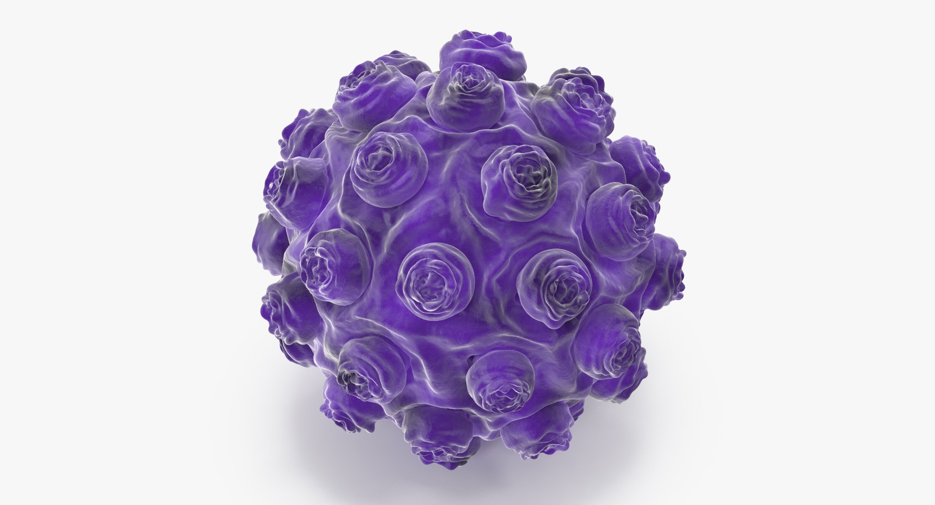 Max Measles