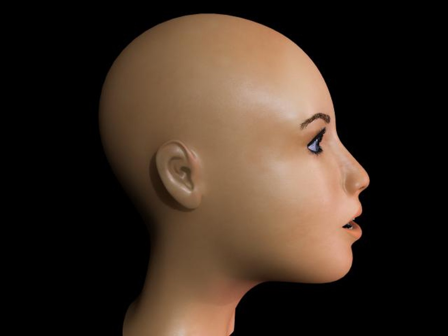 Woman Head 3d Model 2147