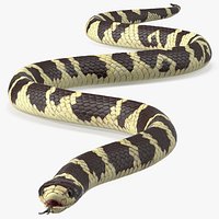 California Kingsnake