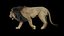 3D lion redshift animation