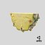 Pineapple Slice 2