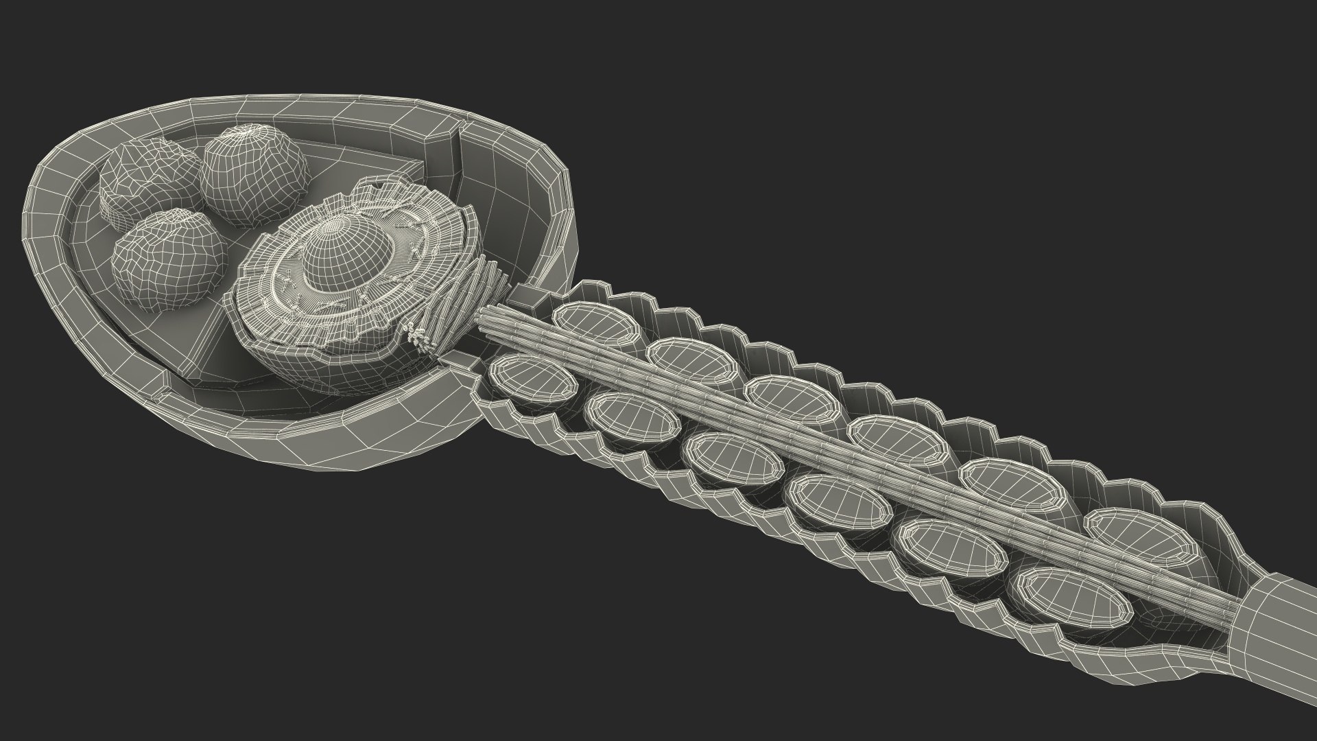 3D Cross-Sectional Spermotozoa Rigged for Maya https://p.turbosquid.com/ts-thumb/yV/tuNFAI/5e/crosssectionalspermotozoariggedformayavray3dmodel032/jpg/1686019946/1920x1080/fit_q87/d4011fcdf409531d062174e365503c6205f5a4f6/crosssectionalspermotozoariggedformayavray3dmodel032.jpg