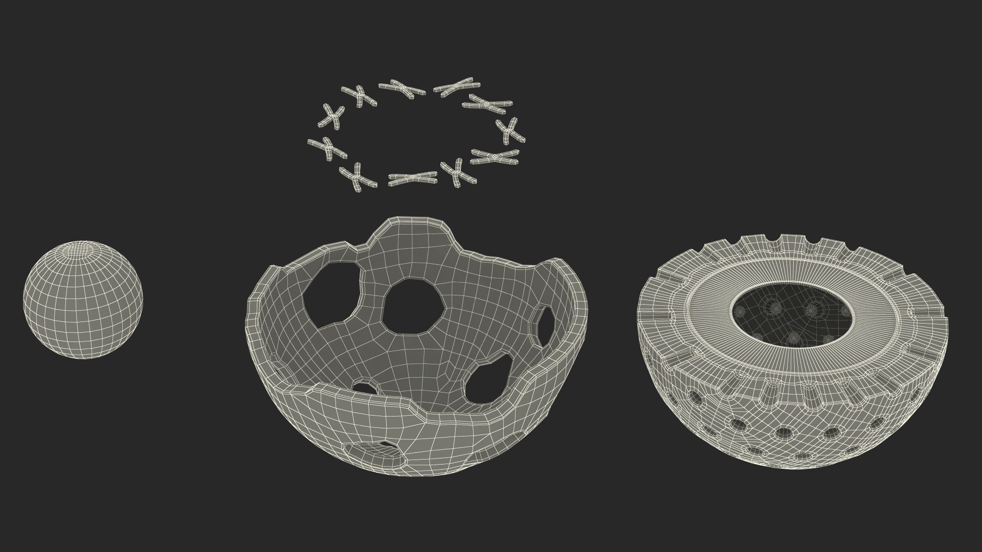 3D Cross-Sectional Spermotozoa Rigged for Maya https://p.turbosquid.com/ts-thumb/yV/tuNFAI/Jm/crosssectionalspermotozoariggedformayavray3dmodel035/jpg/1686019956/1920x1080/fit_q87/a8b2c744b0f384f8531a828cebd9f945e55a682c/crosssectionalspermotozoariggedformayavray3dmodel035.jpg
