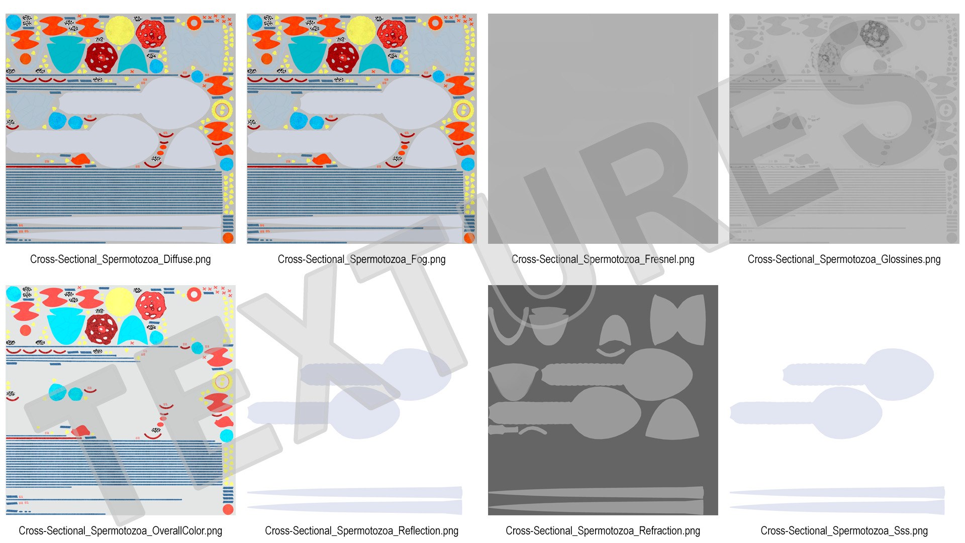 3D Cross-Sectional Spermotozoa Rigged for Maya https://p.turbosquid.com/ts-thumb/yV/tuNFAI/Mk/crosssectionalspermotozoariggedformayavray3dmodel026/jpg/1686019926/1920x1080/fit_q87/29c5a32f8dc01f7fbb9346319e0f0f5b111a4896/crosssectionalspermotozoariggedformayavray3dmodel026.jpg