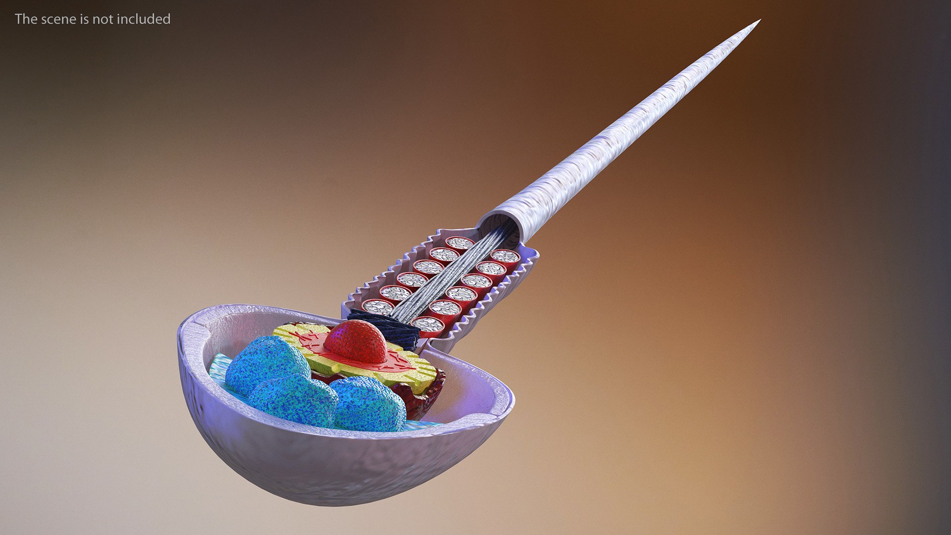 3D Cross-Sectional Spermotozoa Rigged for Maya https://p.turbosquid.com/ts-thumb/yV/tuNFAI/Q3/crosssectionalspermotozoariggedformayavray3dmodel006/jpg/1686019859/1920x1080/fit_q87/8f66d4618d1762f3c265cbed518beee1841f0404/crosssectionalspermotozoariggedformayavray3dmodel006.jpg